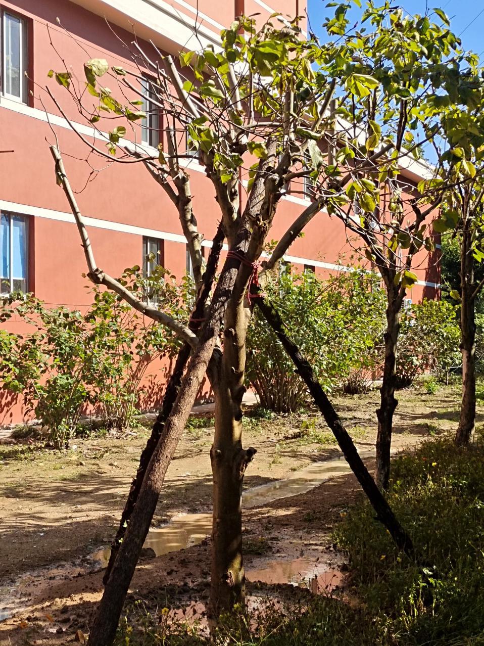 56AC2